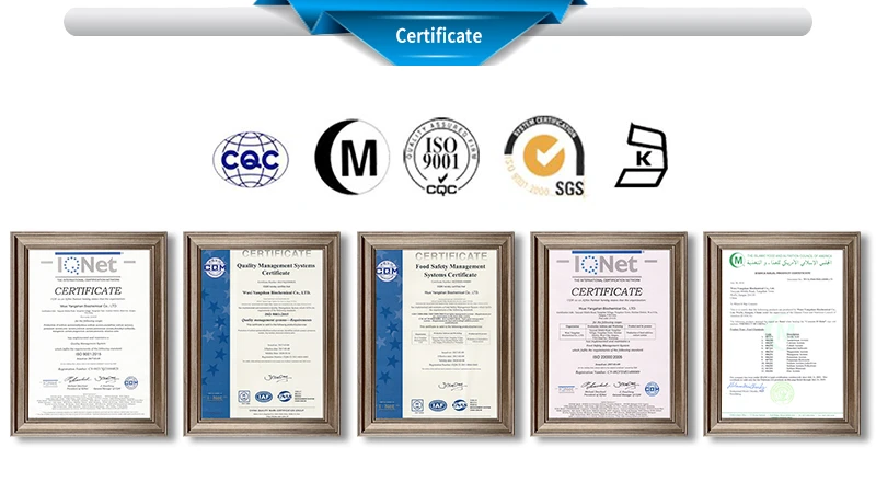 certificate certificate
